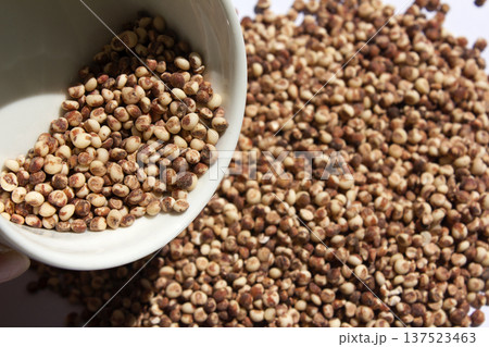This is a close-up of sorghum. 137523463