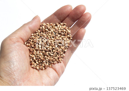 It is a sorghum that is placed in the hand.	 137523469