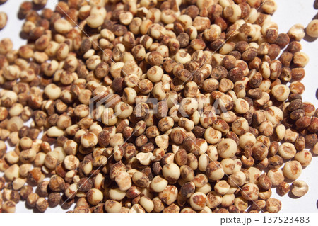 Here are some close-ups of many sorghum 137523483