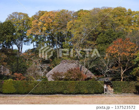 向井去来の草庵　落柿舎 137523572