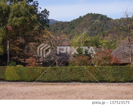 向井去来の草庵　落柿舎 137523575