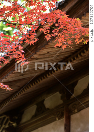 屋根の裏側と紅葉 屋根の裏側と紅葉 137523704