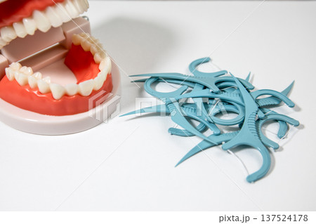 Dental Teeth Model Closeup With Floss Picks Pile On White Background Dental Teeth Model Closeup With Floss Picks Pile On White Background 137524178