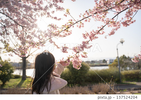 夕日と桜に手を伸ばす子供 夕日と桜に手を伸ばす子供 137524204
