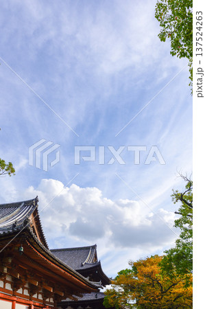 東寺 講堂と紅葉 東寺 講堂と紅葉 137524263