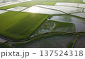 水田広がる田園空撮風景 137524318