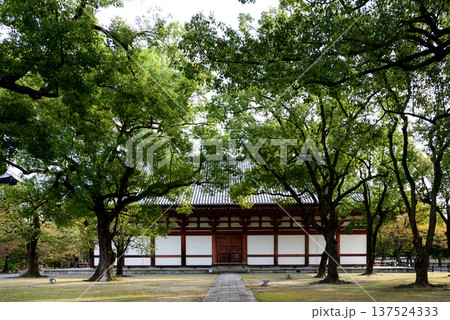 東寺 講堂 東寺 講堂 137524333