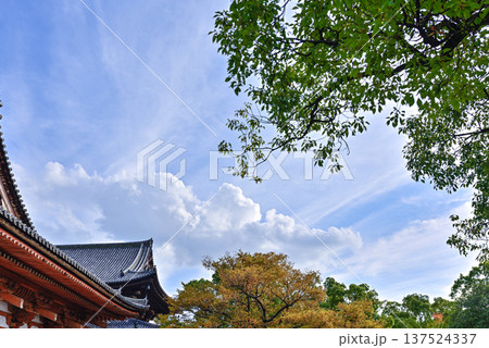 東寺 教王護国寺 伽藍の紅葉 東寺 教王護国寺 伽藍の紅葉 137524337