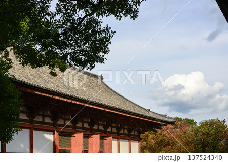 東寺 講堂 東寺 講堂 137524340