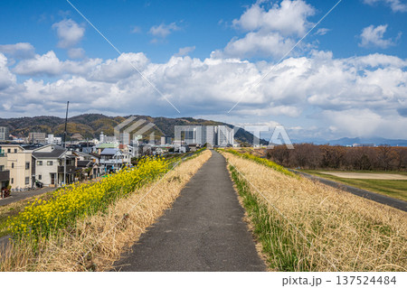 淀川右岸堤防上からの景観　大阪府高槻市 137524484