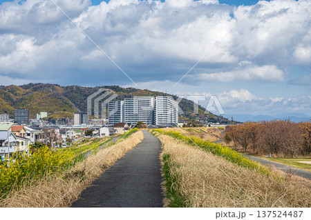淀川右岸堤防上からの景観　大阪府高槻市 137524487