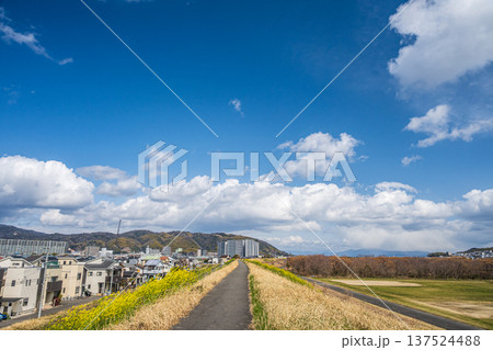 淀川右岸堤防上からの景観 大阪府高槻市 淀川右岸堤防上からの景観 大阪府高槻市 137524488