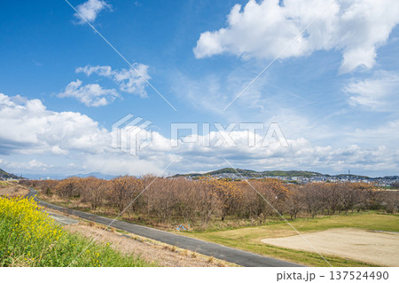 淀川右岸堤防上からの景観　大阪府高槻市 137524490