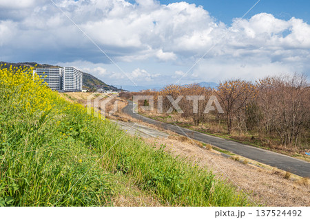 淀川右岸堤防上からの景観　大阪府高槻市 137524492