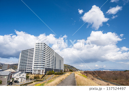 淀川右岸スーパー堤防上のマンション 大阪府高槻市 淀川右岸スーパー堤防上のマンション 大阪府高槻市 137524497