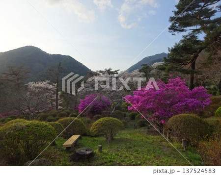 飯田市　春の山の公園 137524583