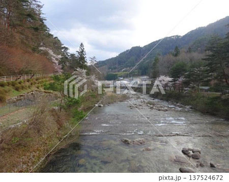 飯田市　春の川の風景 137524672