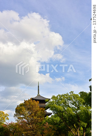 東寺 五重塔と紅葉 東寺 五重塔と紅葉 137524698