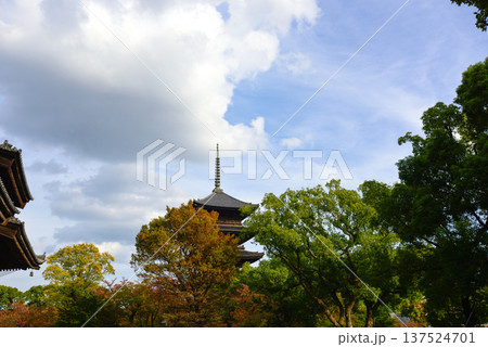 東寺　五重塔と紅葉 137524701
