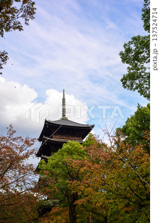 東寺 五重塔と紅葉 東寺 五重塔と紅葉 137524714