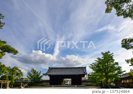 東寺 蒼天の南大門 東寺 蒼天の南大門 137524864
