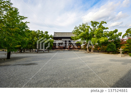 東寺 金堂 東寺 金堂 137524881