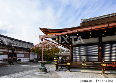 東寺　御影堂　大師堂 137525168