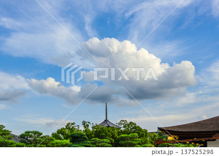 東寺 蒼天の五重塔 東寺 蒼天の五重塔 137525298