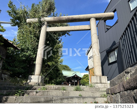 東京都文京区小日向の神社、小日向神社の鳥居です。 東京都文京区小日向の神社、小日向神社の鳥居です。 137525323
