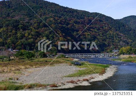 嵯峨野嵐山　渡月橋と大堰川（桂川） 137525351