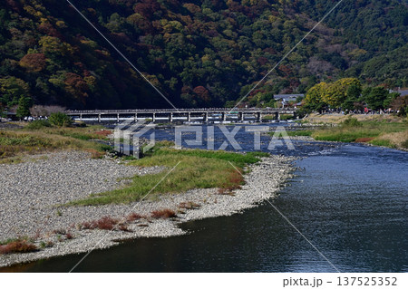 嵯峨野嵐山　渡月橋と大堰川（桂川） 137525352