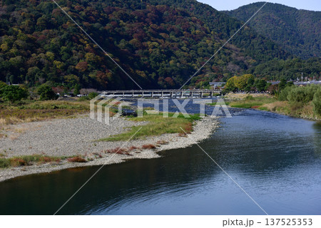 嵯峨野嵐山　渡月橋と大堰川（桂川） 137525353