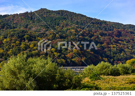 嵯峨野嵐山 渡月橋と大堰川(桂川) 嵯峨野嵐山 渡月橋と大堰川(桂川) 137525361