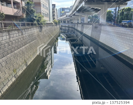東京都文京区の江戸川橋駅近くの首都高速5号池袋線と神田川です。 東京都文京区の江戸川橋駅近くの首都高速5号池袋線と神田川です。 137525394