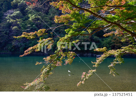 嵯峨野嵐山 桂川(大堰川) 嵯峨野嵐山 桂川(大堰川) 137525451