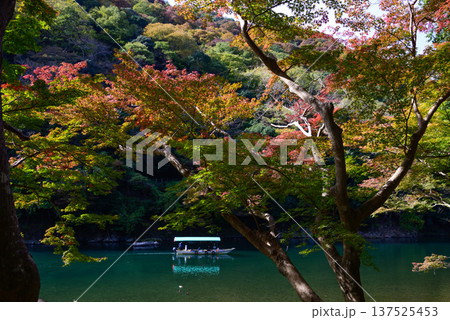 嵯峨野嵐山 桂川(大堰川) 嵯峨野嵐山 桂川(大堰川) 137525453