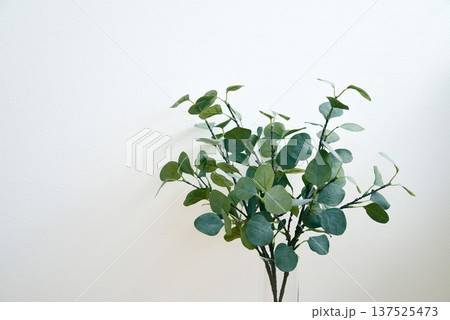 ユーカリのフェイクグリーン（造花） 137525473