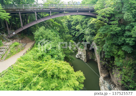 甲斐の新猿橋と桂川渓谷 137525577