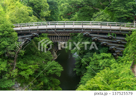 甲斐の猿橋と桂川渓谷 甲斐の猿橋と桂川渓谷 137525579