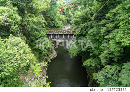 八ツ沢発電所一号水路橋 137525583