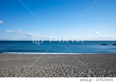 高知市桂浜 137525635