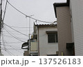 初雪 137526183