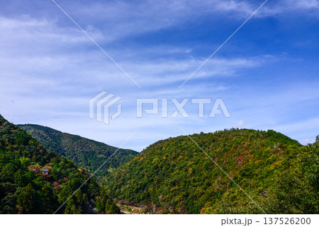 嵯峨野嵐山 嵯峨野嵐山 137526200