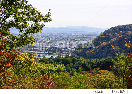 小倉山山頂から望む渡月橋と桂川（大堰川） 137526201