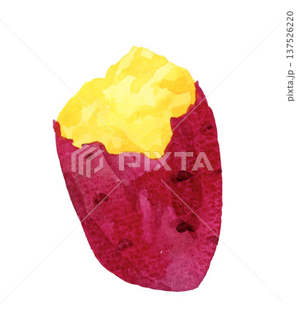 焼き芋（単品）　野菜の手描き水彩イラスト素材 137526220