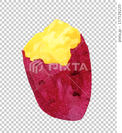 烤地瓜（單件） 手繪水彩蔬菜插圖 137526220