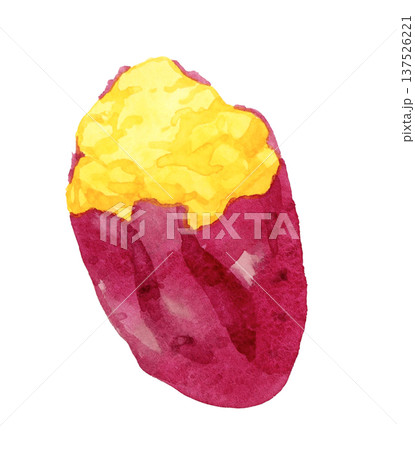 焼き芋(単品) 野菜の手描き水彩イラスト素材 焼き芋(単品) 野菜の手描き水彩イラスト素材 137526221