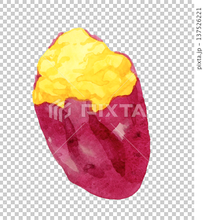 烤地瓜（單件） 手繪水彩蔬菜插圖 137526221