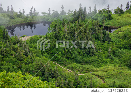北アルプス・弓折岳稜線から見る鏡池 137526228