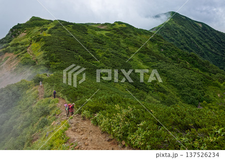 雲湧く北アルプス・弓折岳稜線を行く登山者 137526234